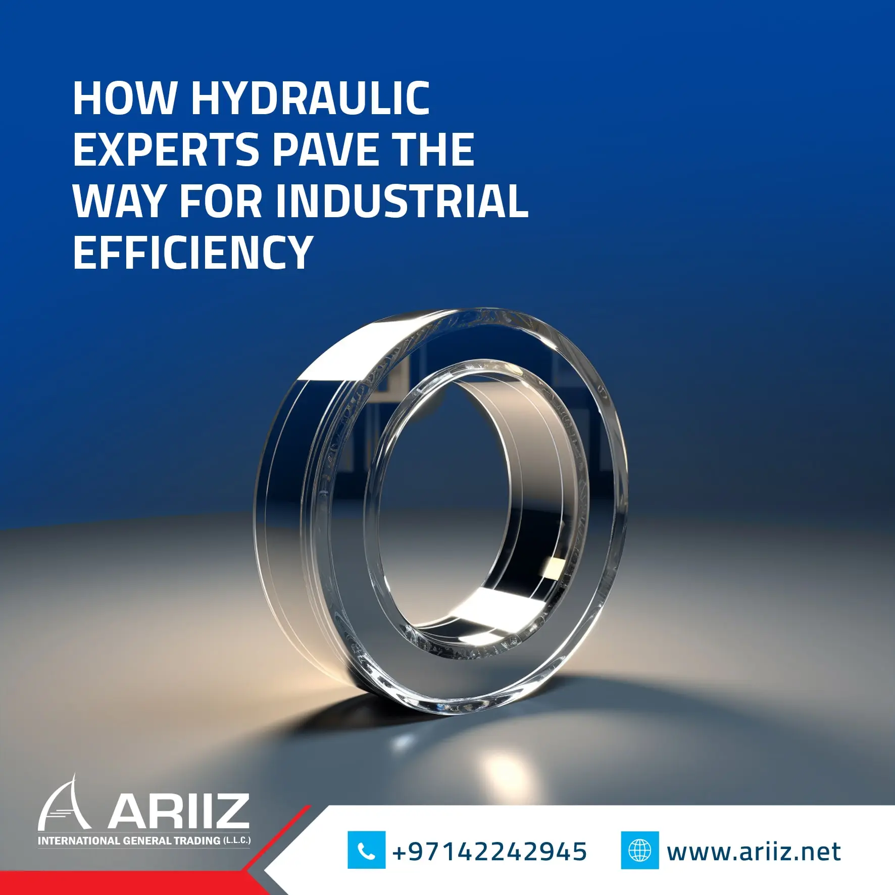 Hydraulic seal experts